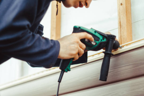 Best Insulated Siding Installation  in Daleville, IN